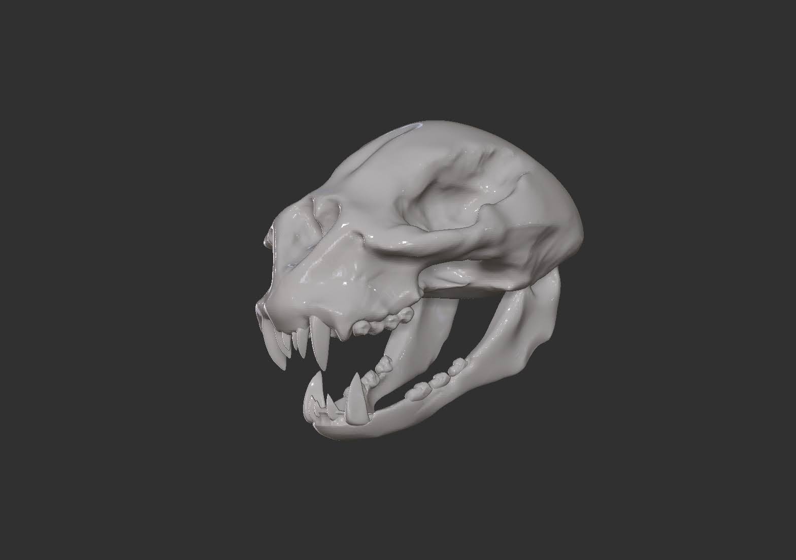 Cheetah Skull — Profile