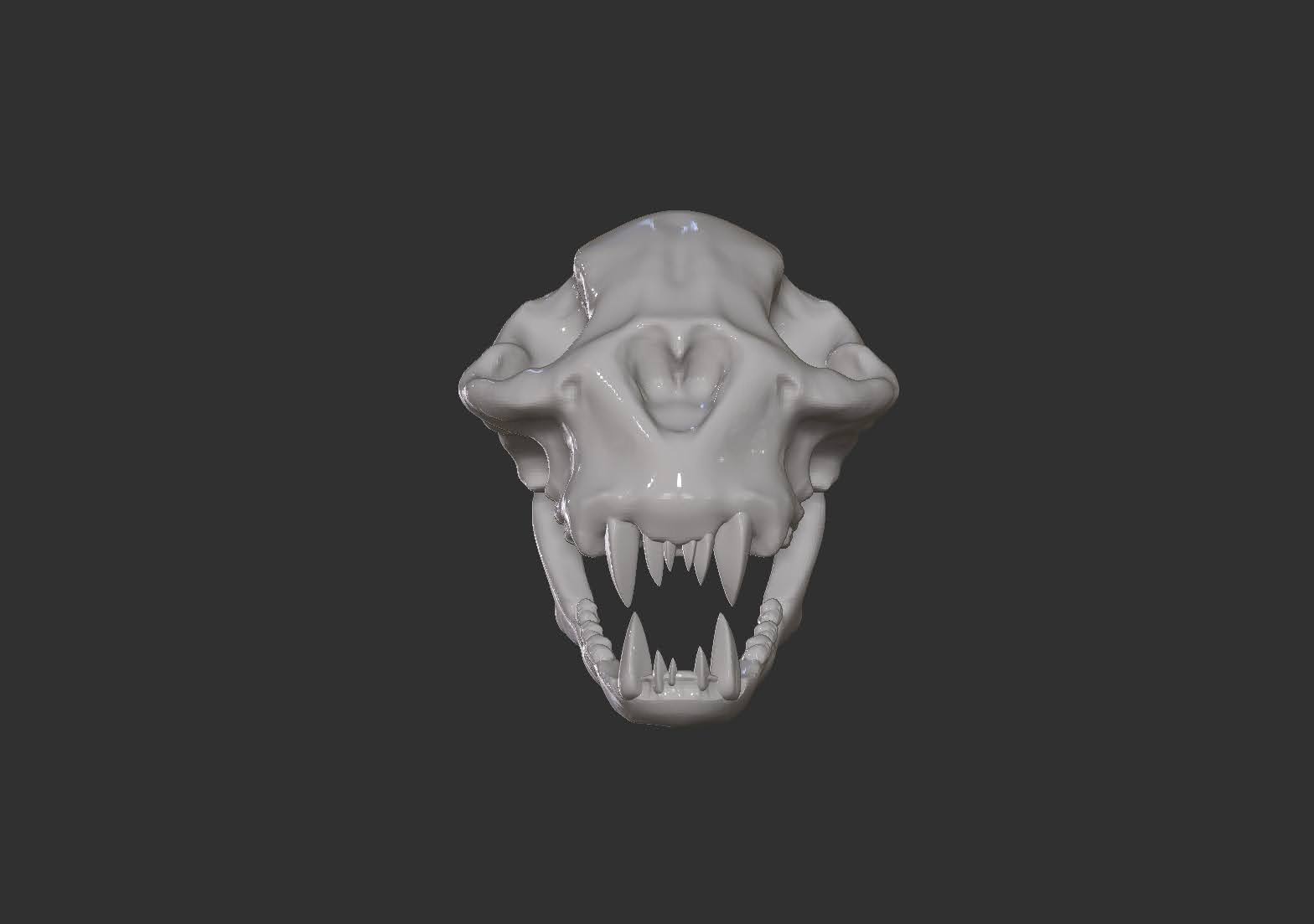 Cheetah Skull — Front
